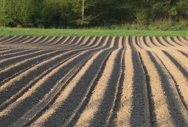 致力于成为全球领先的农机配套解决方案供应商